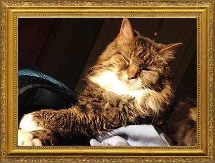Maggie Larouere 2000-2016